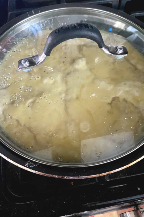 thin pork chops in skillet 