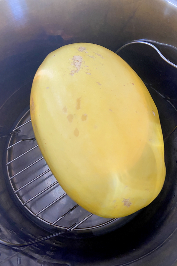 spaghetti squash in instant pot 