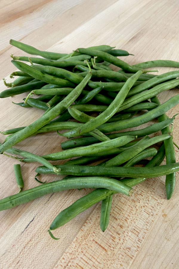 fresh picked green beans