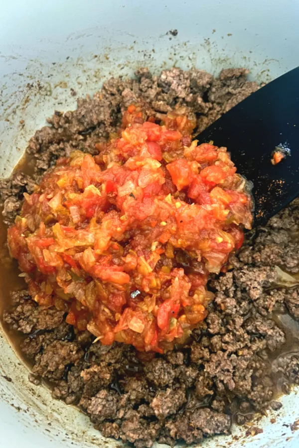 ground beef and salsa