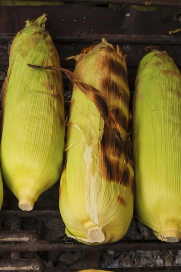corn on a grill