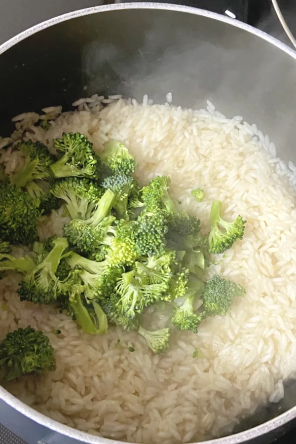 broccoli on top of rice 