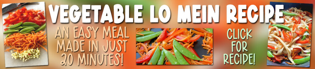 Vegetable Lo Mein banner ad