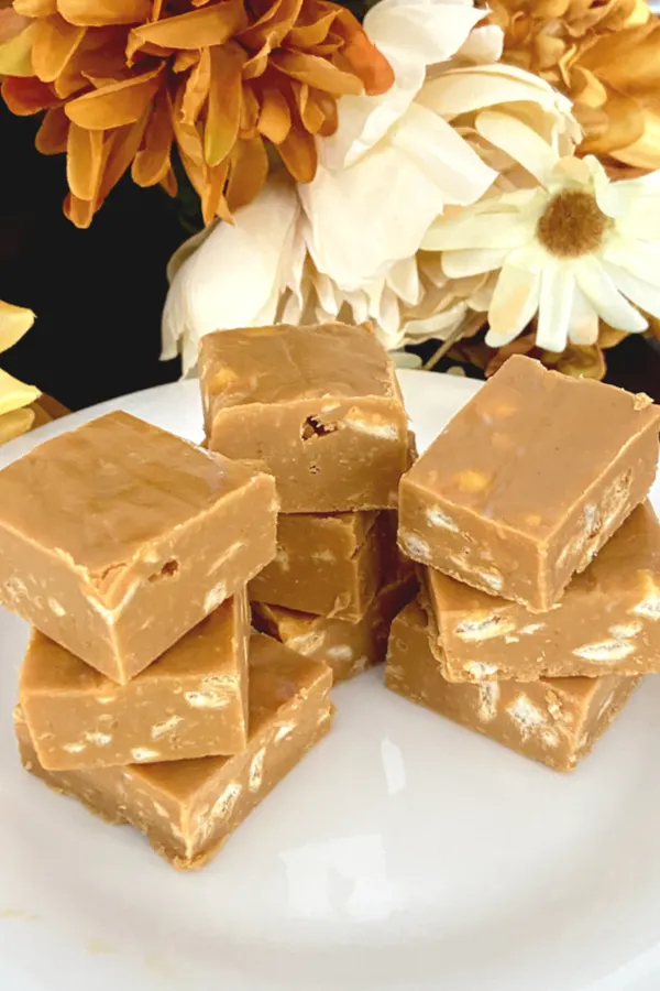 caramel apple fudge