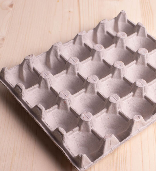 empty egg carton