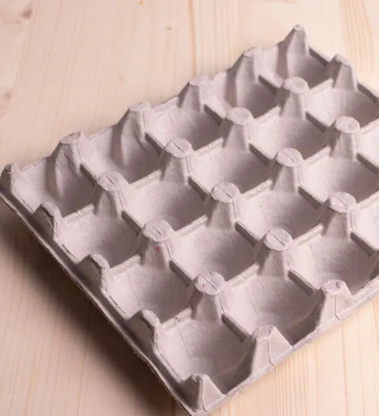 empty egg carton