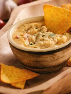 crock pot rotel cheese dip in a bowl with tortilla chips