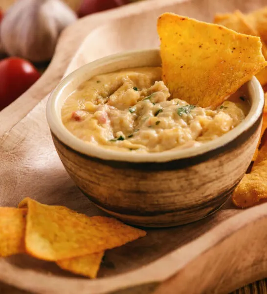 crock pot rotel cheese dip in a bowl with tortilla chips