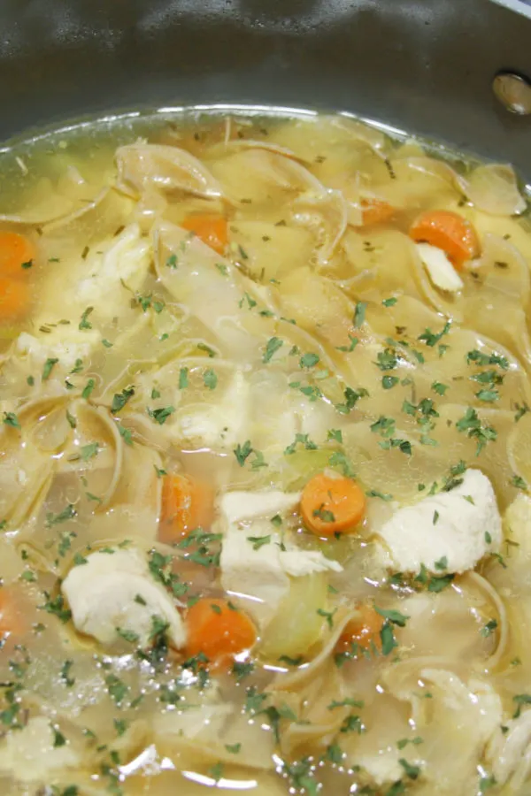 chicken noodle soup in pot 