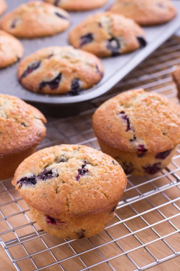 blueberry zucchini muffins on cooling rack