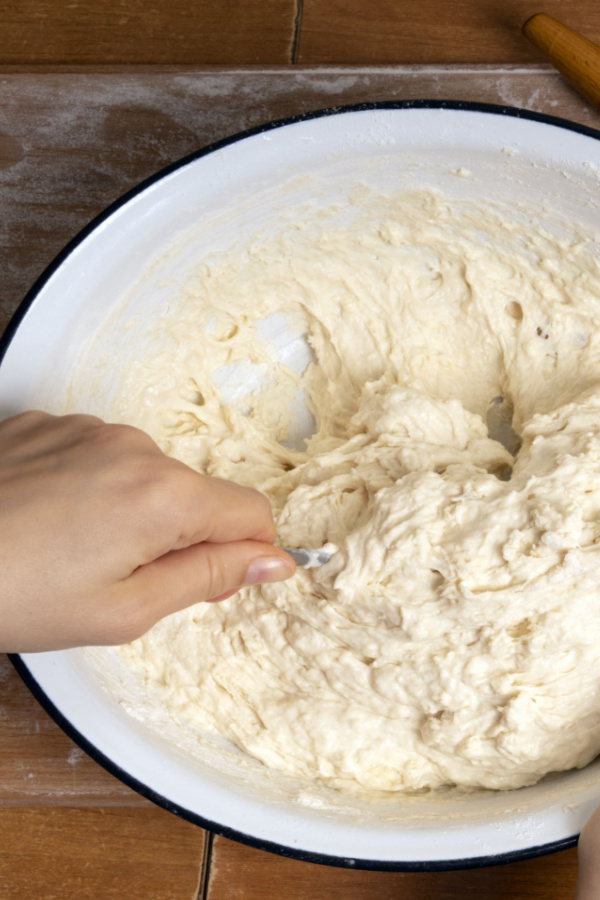 dumpling dough in bowl