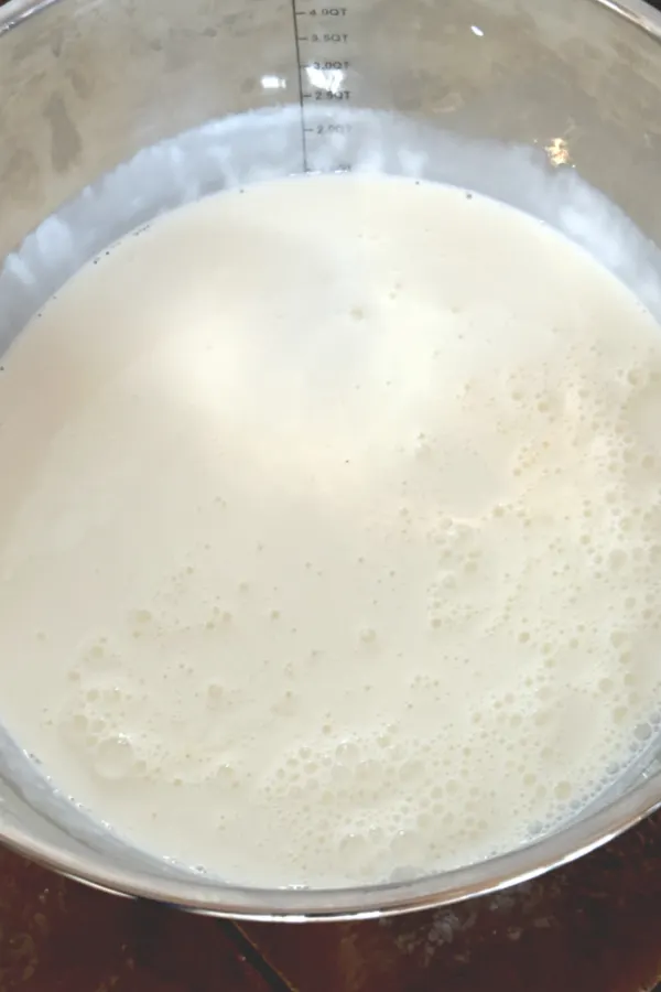 cream mixture to make peppermint ice cream