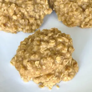 peanut butter no bake cookie