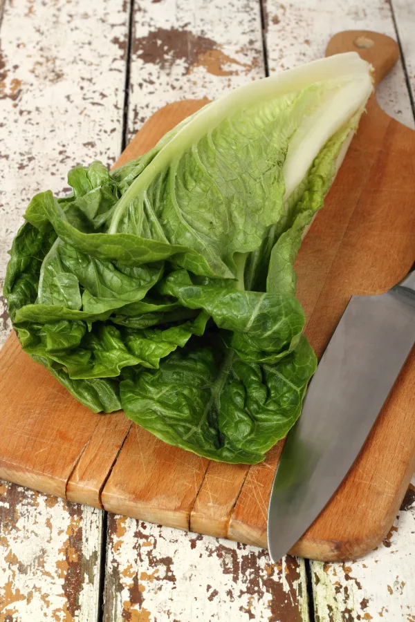romaine lettuce 
