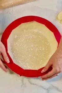 pie crust shield