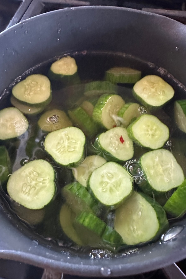 cucumbers in salt water