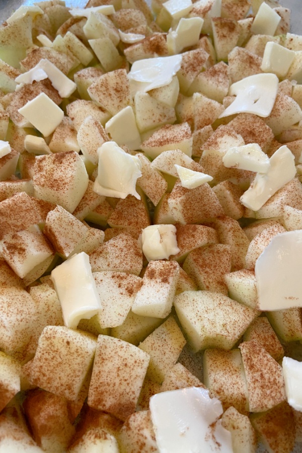 apple chunks