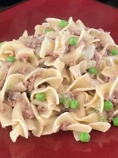 ground beef and noodle skillet recipe