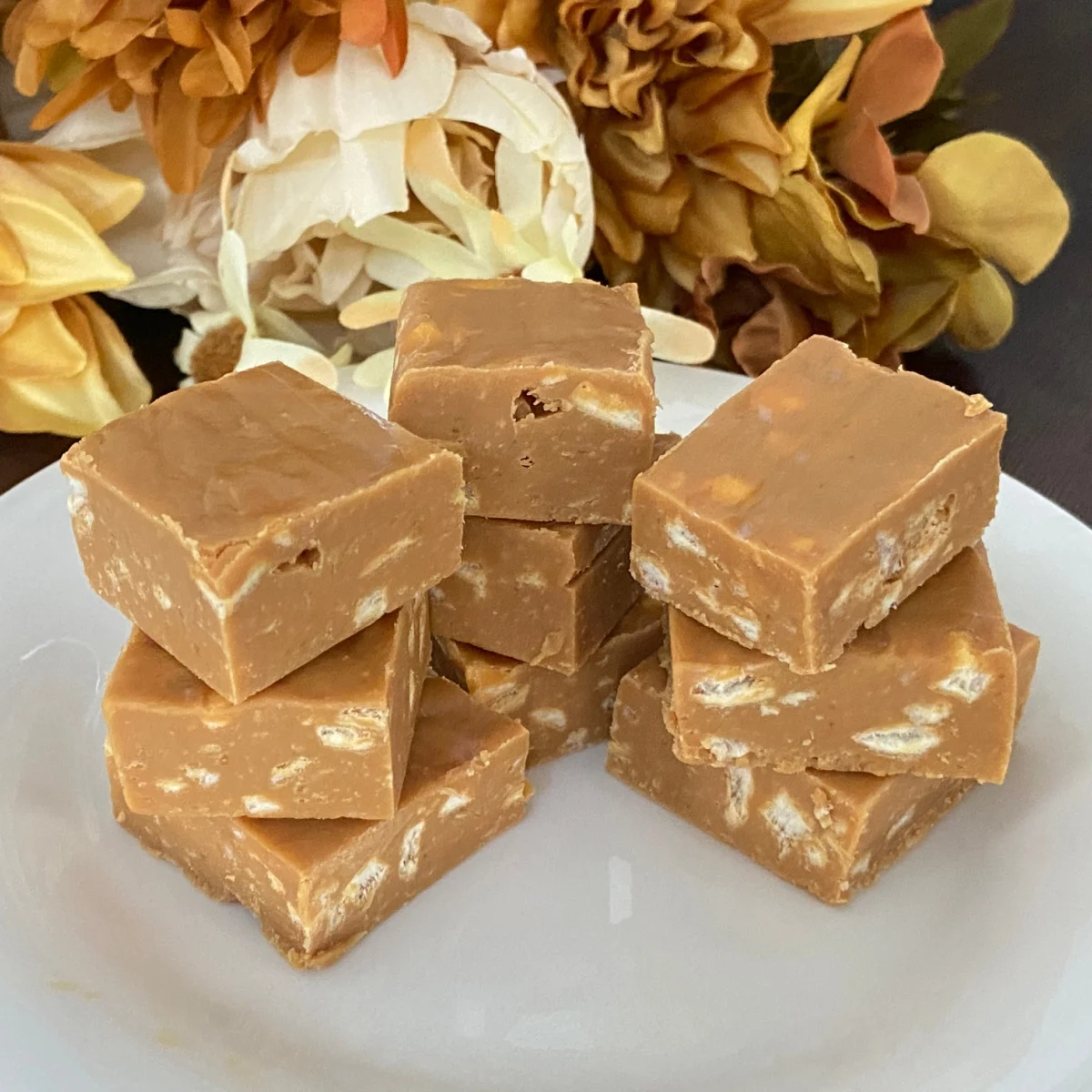 homemade caramel apple fudge