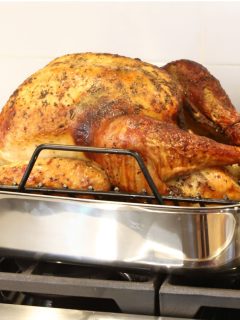 oven roasted turkey