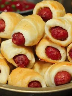 mini pigs in a blanket