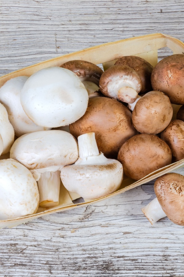 mushrooms for appetizers