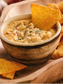 rotel easy crock pot cheese dip