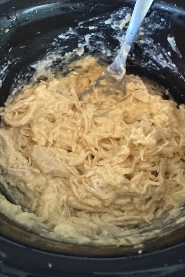 shredded chicken in crock pot