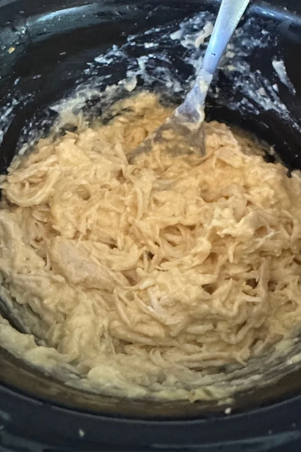 shredded chicken in crock pot