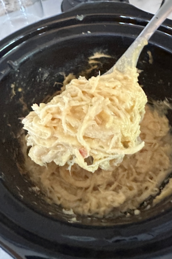 shredded chicken