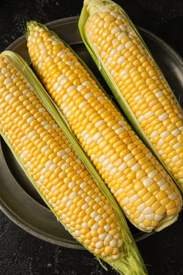 fresh sweet corn