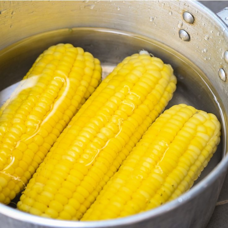 boil corn on the cob