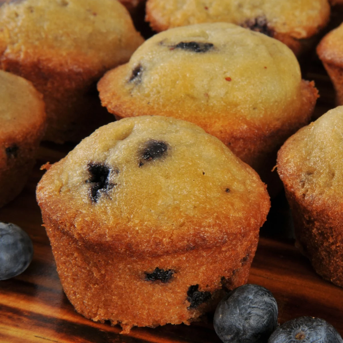 mini blueberry muffins