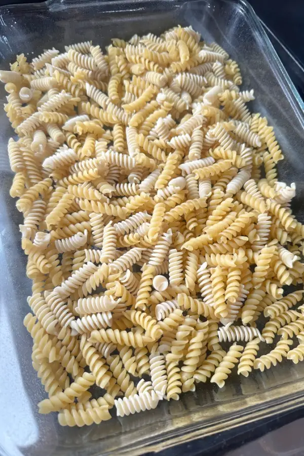 rotini pasta in baking dish