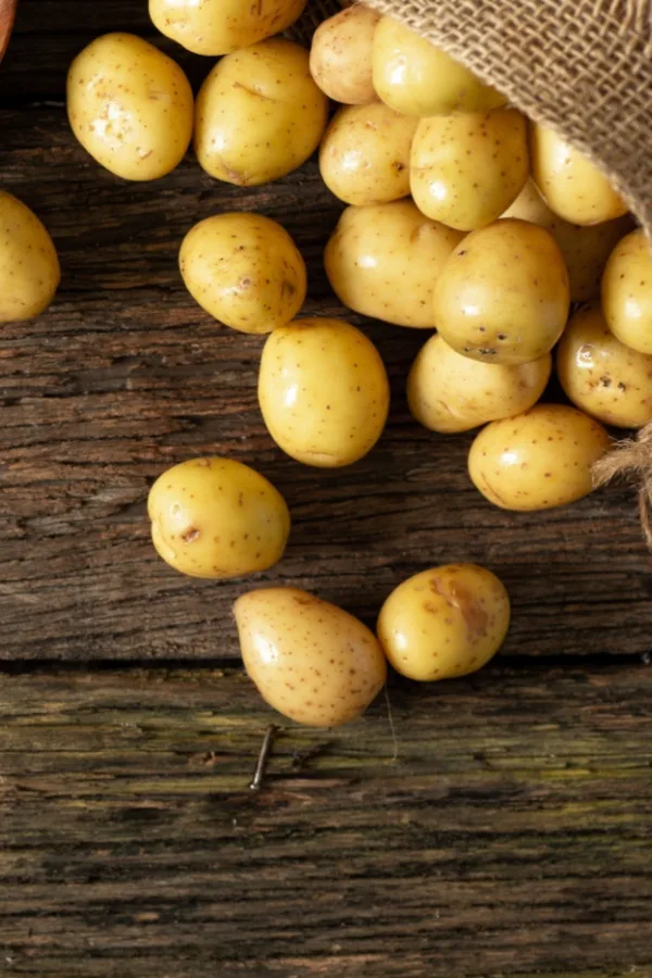 yukon gold baby potatoes

