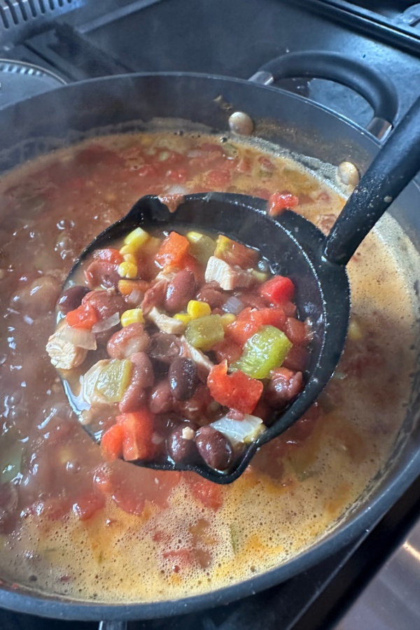 southwestern turkey soup ladle